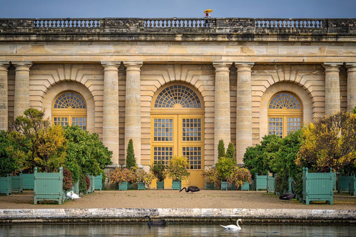 Select your size for L’Orangerie de Versailles | 2024
