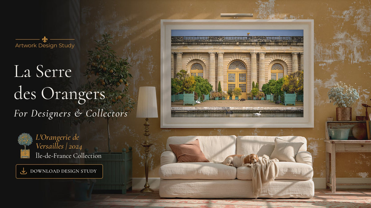 Download the Artwork Driven Design Study for L’Orangerie de Versailles | 2024