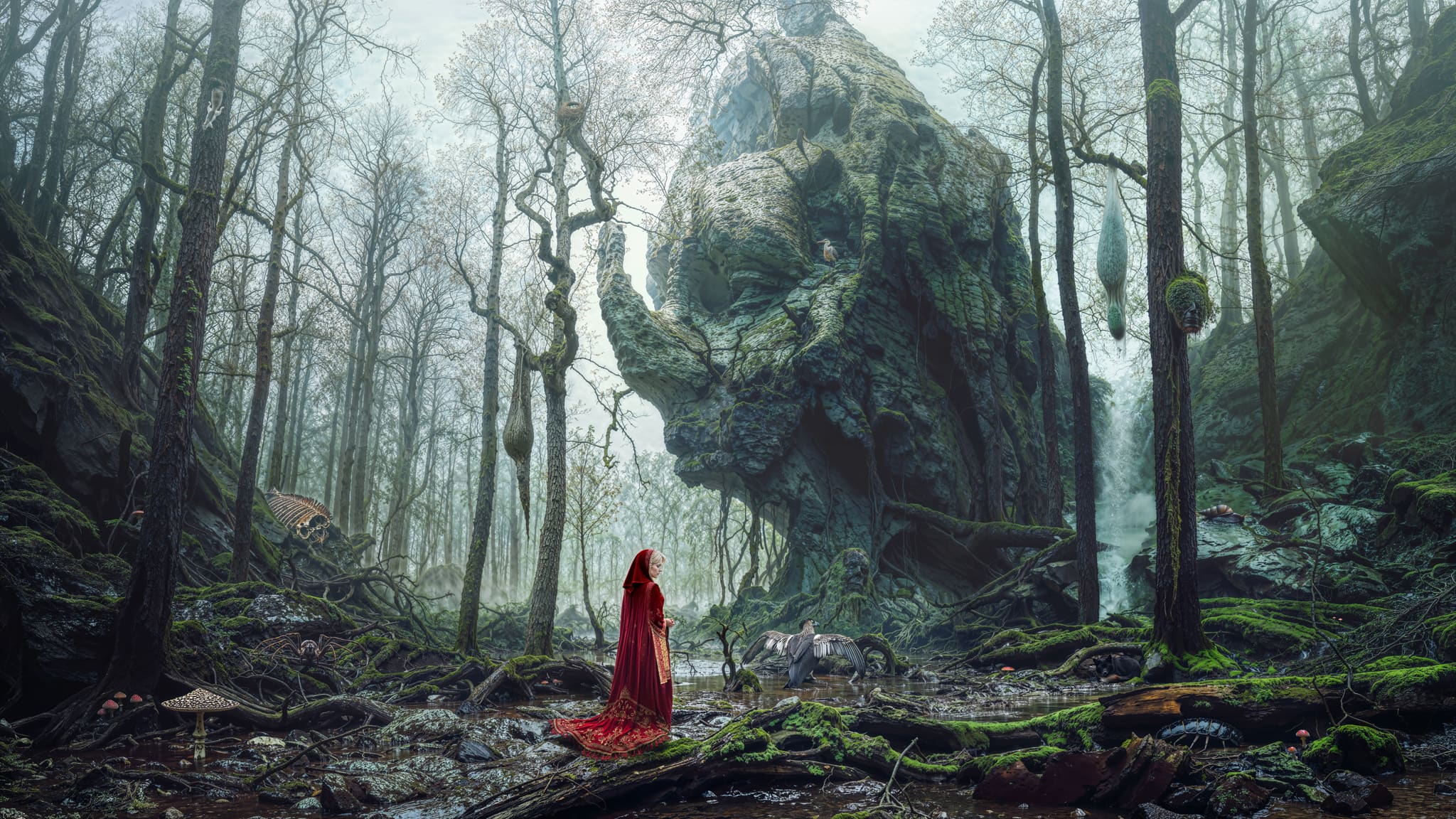 The main image Bog of Regret | 2025