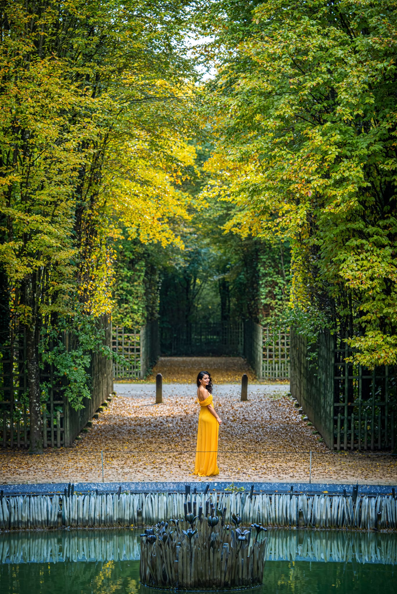 The main image Girandole Grove | 2024