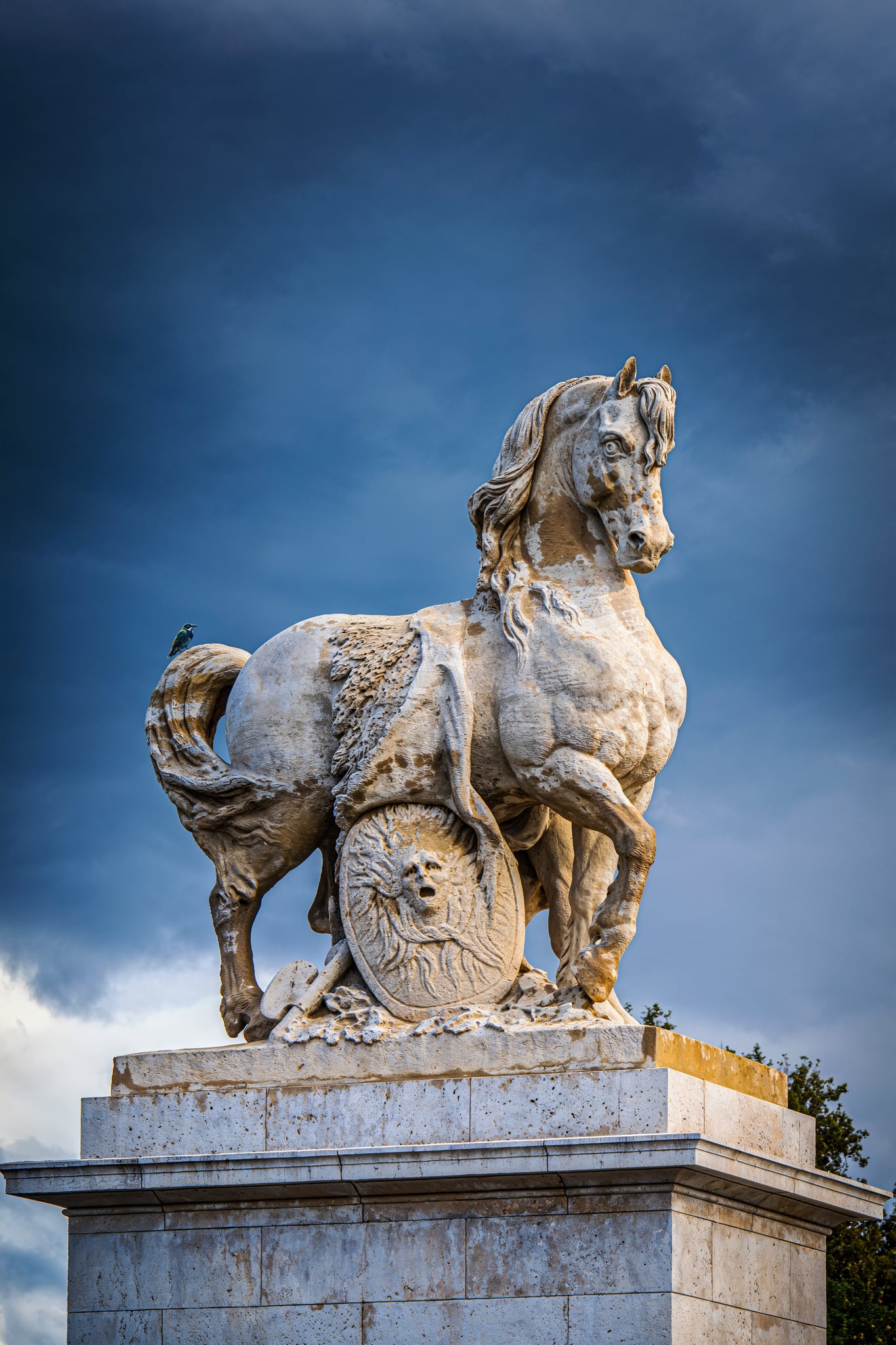 Marly Horses | 2024 – TC Montague
