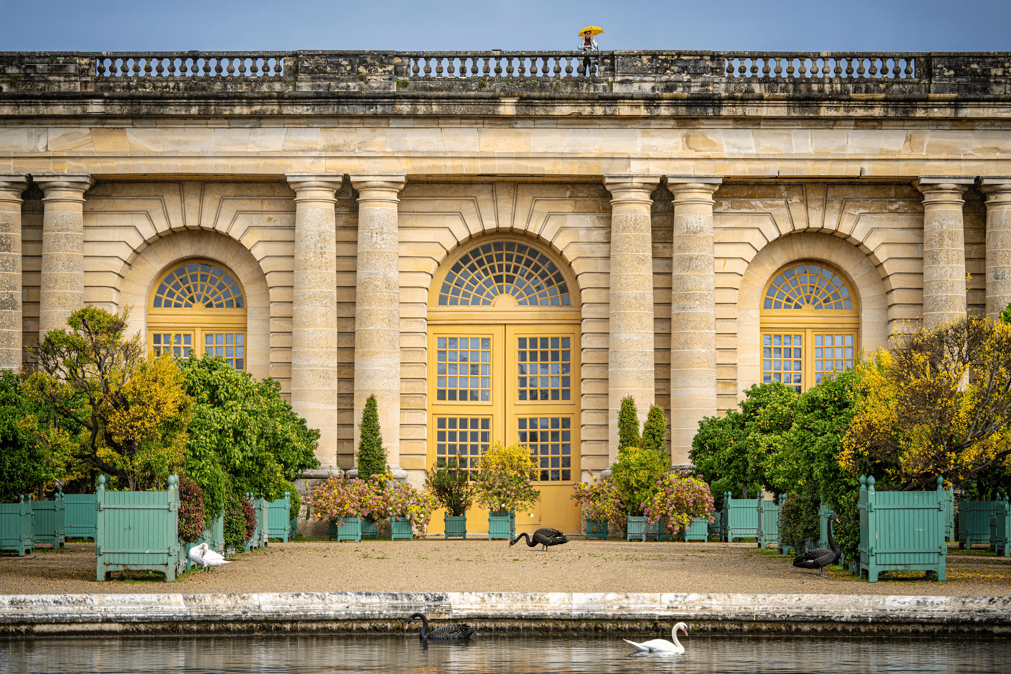 The main image of Versailles Orangerie | 2024